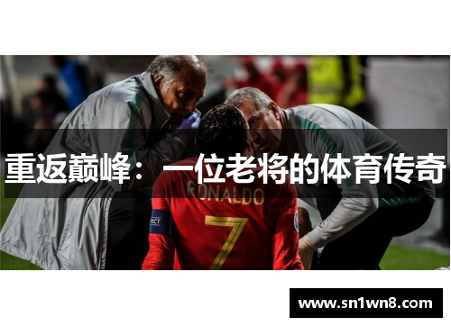 重返巅峰：一位老将的体育传奇