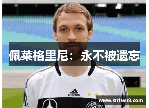 佩莱格里尼：永不被遗忘